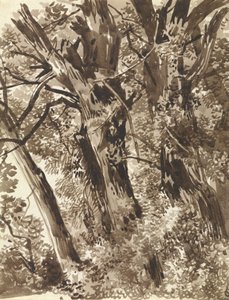 Troncos y ramas de Franz Innocenz Kobell